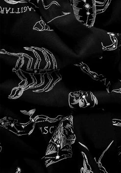 LVT1 Dresses Zodiac Flare Sleeve Mini Dress