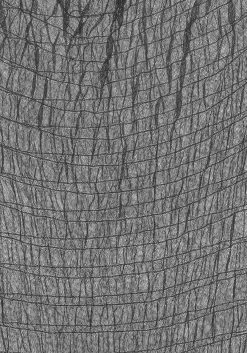 MET1 Nightwraith Mesh Dress 14 MET1 Nightwraith Mesh Dress